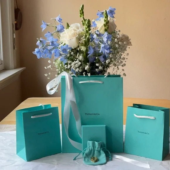 ❤️ TIFFANY & CO. SCARF RING ❤️ NWT ❤️